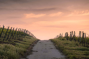 Visiter la Vallée du Rhône